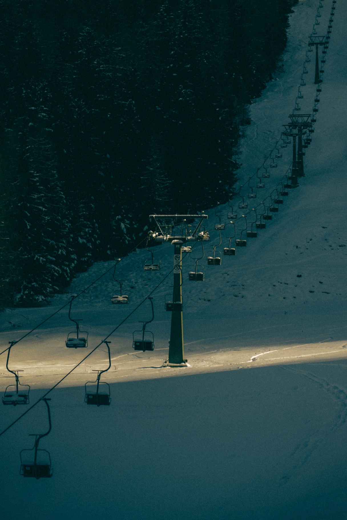 Winter Sports